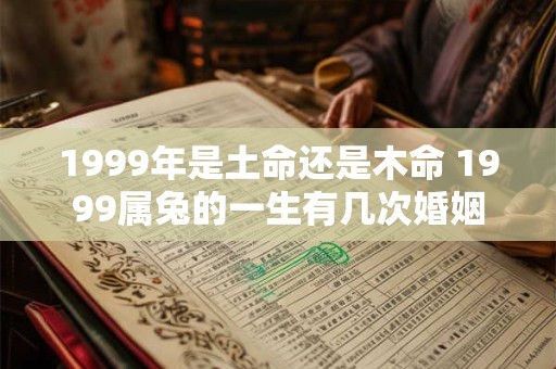 1999年是土命还是木命 1999属兔的一生有几次婚姻