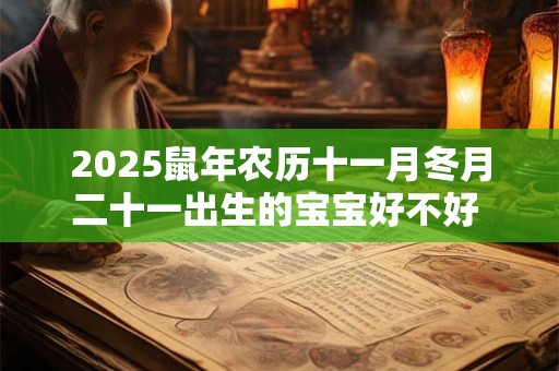 2025鼠年农历十一月冬月二十一出生的宝宝好不好 五行缺什么