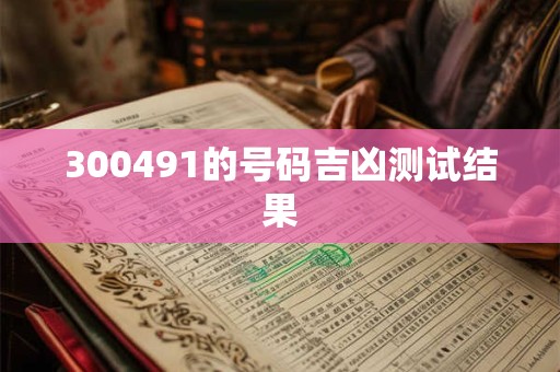 300491的号码吉凶测试结果