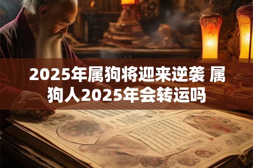 2025年属狗将迎来逆袭 属狗人2025年会转运吗