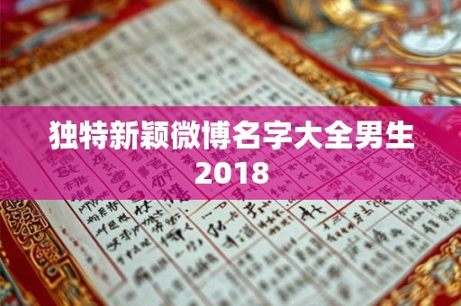 独特新颖微博名字大全男生2018