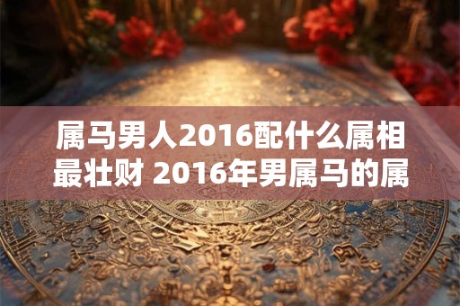 属马男人2016配什么属相最壮财 2016年男属马的属相婚配表