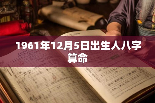1961年12月5日出生人八字算命