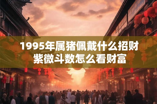 1995年属猪佩戴什么招财 紫微斗数怎么看财富