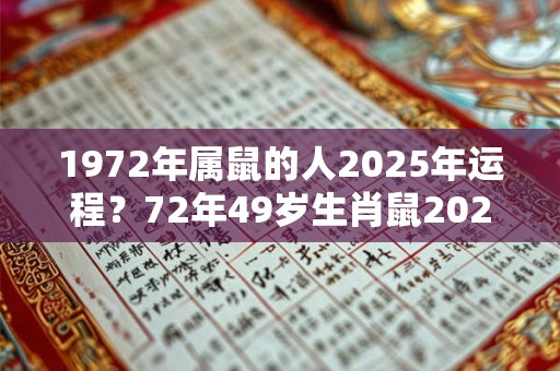 1972年属鼠的人2025年运程？72年49岁生肖鼠2025年运势