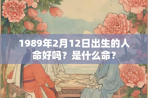 1989年2月12日出生的人命好吗？是什么命？