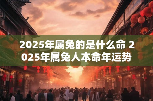 2025年属兔的是什么命 2025年属兔人本命年运势