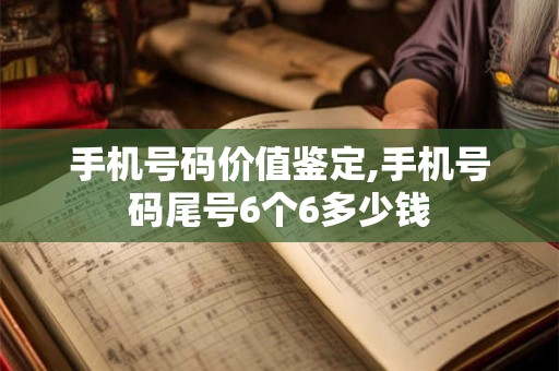 手机号码价值鉴定,手机号码尾号6个6多少钱