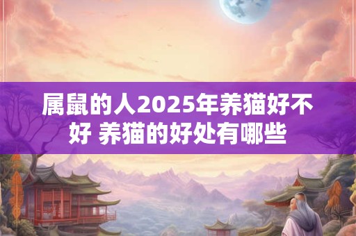 属鼠的人2025年养猫好不好 养猫的好处有哪些 属鼠的人2025年养猫好不好 养猫的好处有哪些