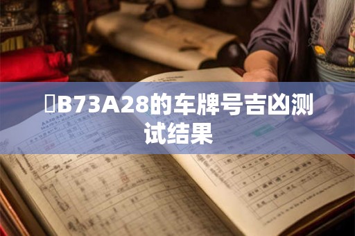 粵B73A28的车牌号吉凶测试结果