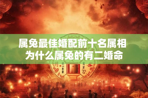 属兔最佳婚配前十名属相 为什么属兔的有二婚命