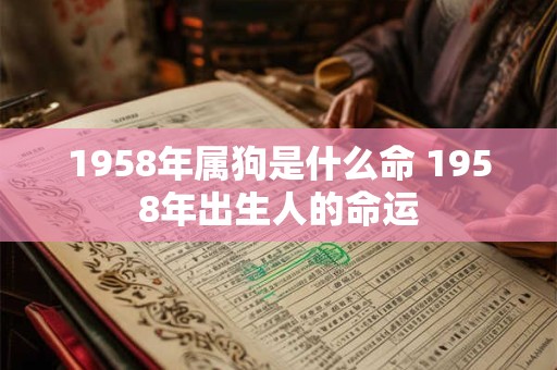 1958年属狗是什么命 1958年出生人的命运