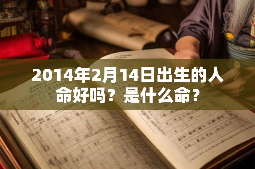 2014年2月14日出生的人命好吗？是什么命？