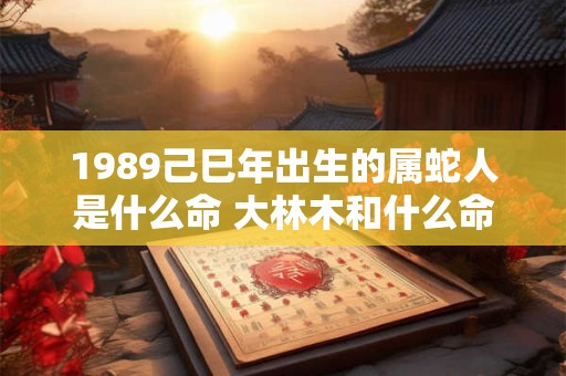 1989己巳年出生的属蛇人是什么命 大林木和什么命最配