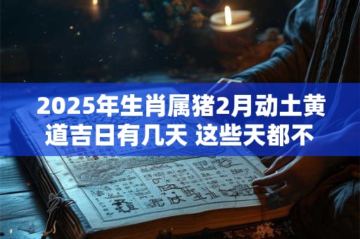 2025年生肖属猪2月动土黄道吉日有几天 这些天都不错