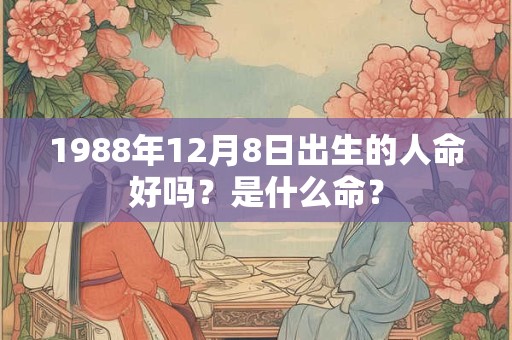 1988年12月8日出生的人命好吗？是什么命？