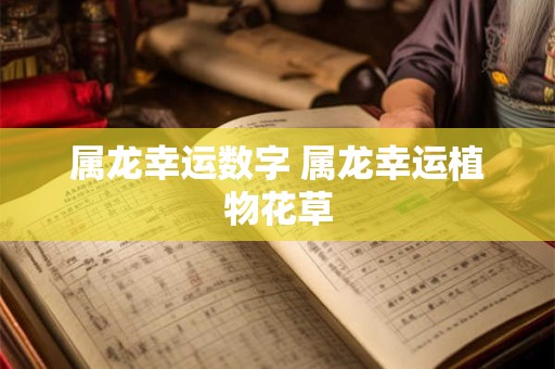 属龙幸运数字 属龙幸运植物花草