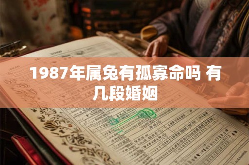 1987年属兔有孤寡命吗 有几段婚姻