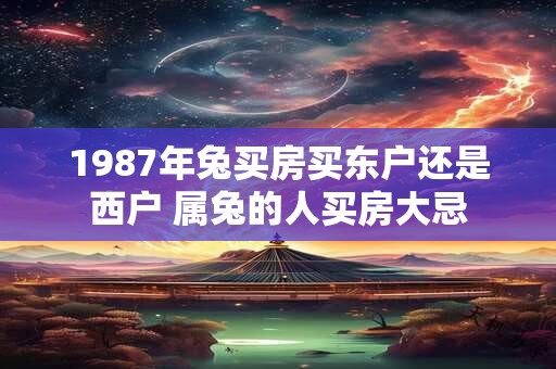 1987年兔买房买东户还是西户 属兔的人买房大忌