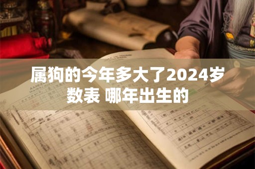 属狗的今年多大了2024岁数表 哪年出生的