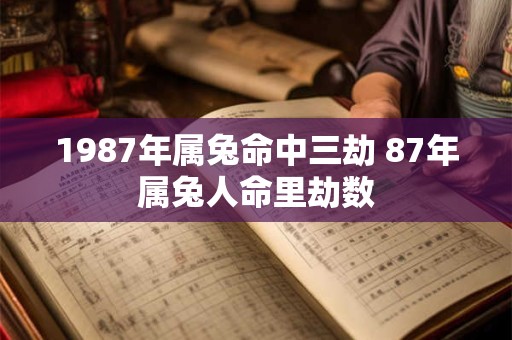 详细阅读:1987年属兔命中三劫 87年属兔人命里劫数 1987年属兔命中三劫 87年属兔人命里劫数