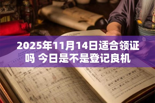 2025年11月14日适合领证吗 今日是不是登记良机