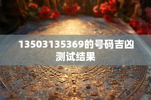13503135369的号码吉凶测试结果