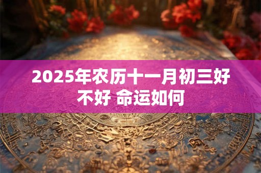 2025年农历十一月初三好不好 命运如何