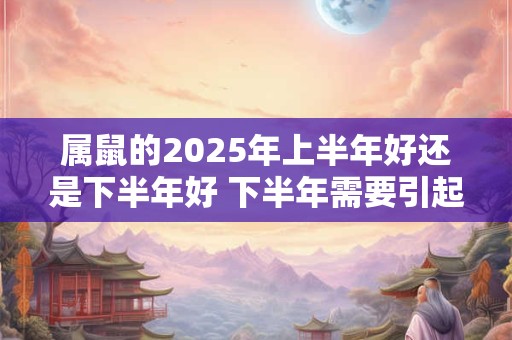 属鼠的2025年上半年好还是下半年好 下半年需要引起注意
