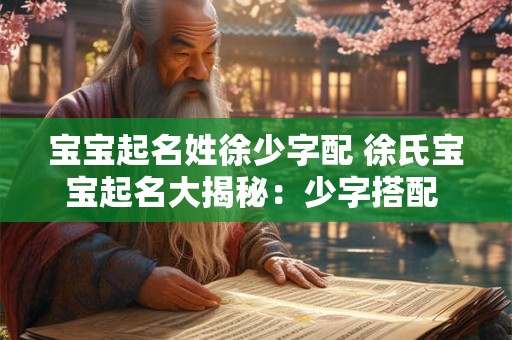宝宝起名姓徐少字配 徐氏宝宝起名大揭秘:少字搭配 ! 宝宝起名姓徐少字配 徐氏宝宝起名大揭秘:少字搭配 !