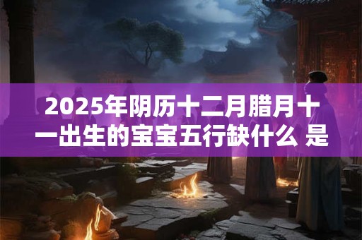 2025年阴历十二月腊月十一出生的宝宝五行缺什么 是什么命