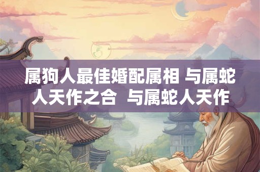 属狗人最佳婚配属相 与属蛇人天作之合  与属蛇人天作之合