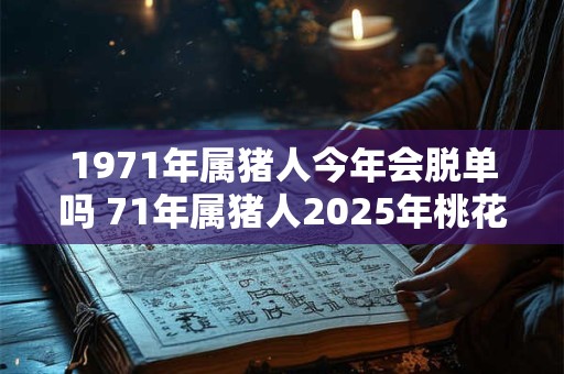 1971年属猪人今年会脱单吗 71年属猪人2025年桃花运