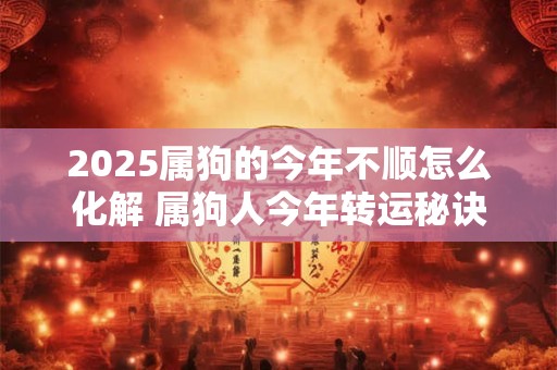 2025属狗的今年不顺怎么化解 属狗人今年转运秘诀