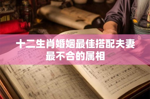 十二生肖婚姻最佳搭配夫妻最不合的属相