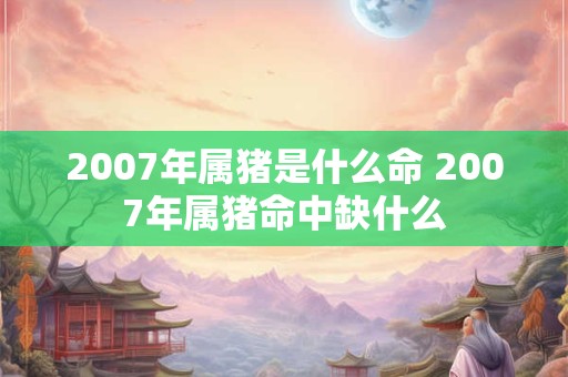 2007年属猪是什么命 2007年属猪命中缺什么
