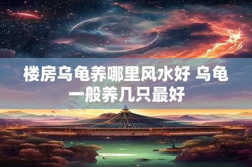 楼房乌龟养哪里风水好 乌龟一般养几只最好 楼房乌龟养哪里风水好 乌龟一般养几只最好