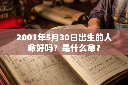 2001年5月30日出生的人命好吗？是什么命？