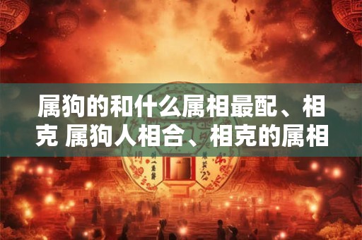 属狗的和什么属相最配、相克 属狗人相合、相克的属相有哪些