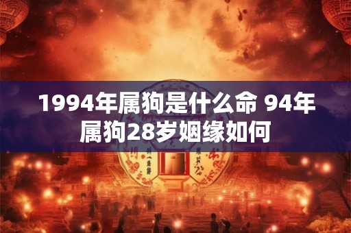 1994年属狗是什么命 94年属狗28岁姻缘如何
