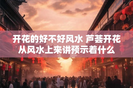 开花的好不好风水 芦荟开花从风水上来讲预示着什么