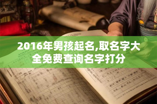 2016年男孩起名,取名字大全免费查询名字打分