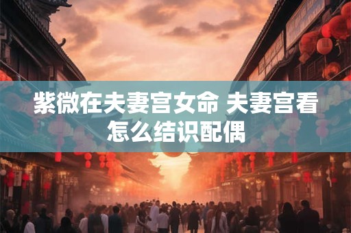 紫微在夫妻宫女命 夫妻宫看怎么结识配偶 紫微在夫妻宫女命 夫妻宫看怎么结识配偶