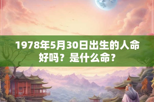 1978年5月30日出生的人命好吗？是什么命？