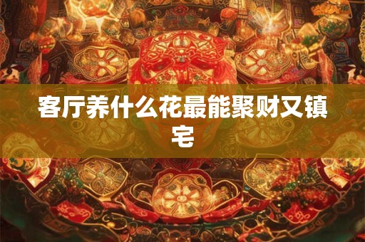 客厅养什么花最能聚财又镇宅