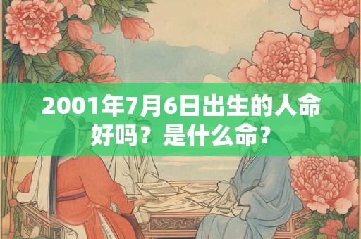 2001年7月6日出生的人命好吗？是什么命？