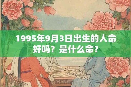 1995年9月3日出生的人命好吗？是什么命？