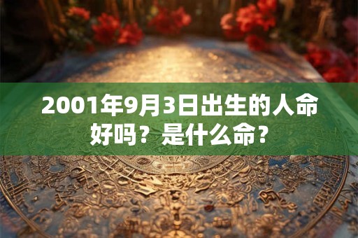 2001年9月3日出生的人命好吗？是什么命？
