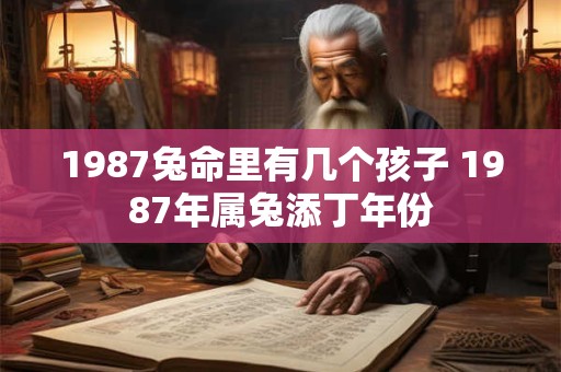 1987兔命里有几个孩子 1987年属兔添丁年份
