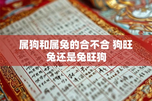 详细阅读:属狗和属兔的合不合 狗旺兔还是兔旺狗 属狗和属兔的合不合 狗旺兔还是兔旺狗